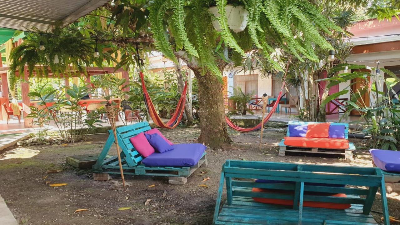 Cabinas Palmer Makanda Cahuita Zewnętrze zdjęcie