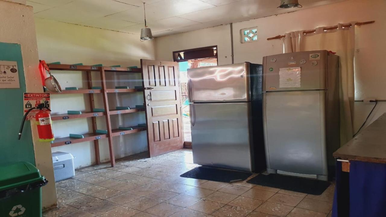 Cabinas Palmer Makanda Cahuita Zewnętrze zdjęcie