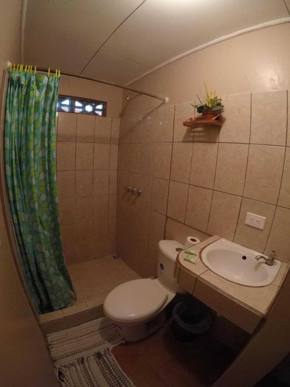 Cabinas Palmer Makanda Cahuita Zewnętrze zdjęcie