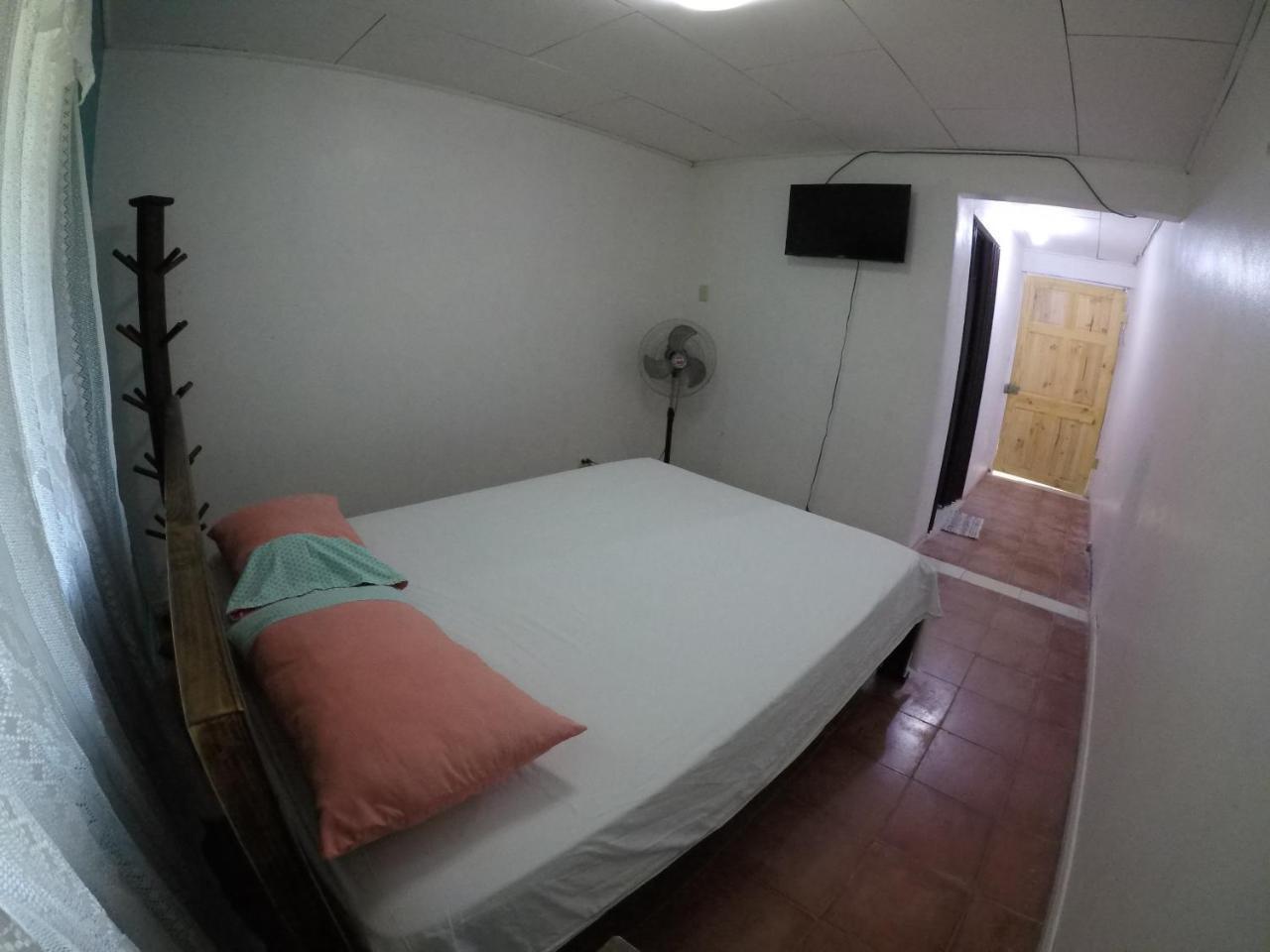 Cabinas Palmer Makanda Cahuita Zewnętrze zdjęcie